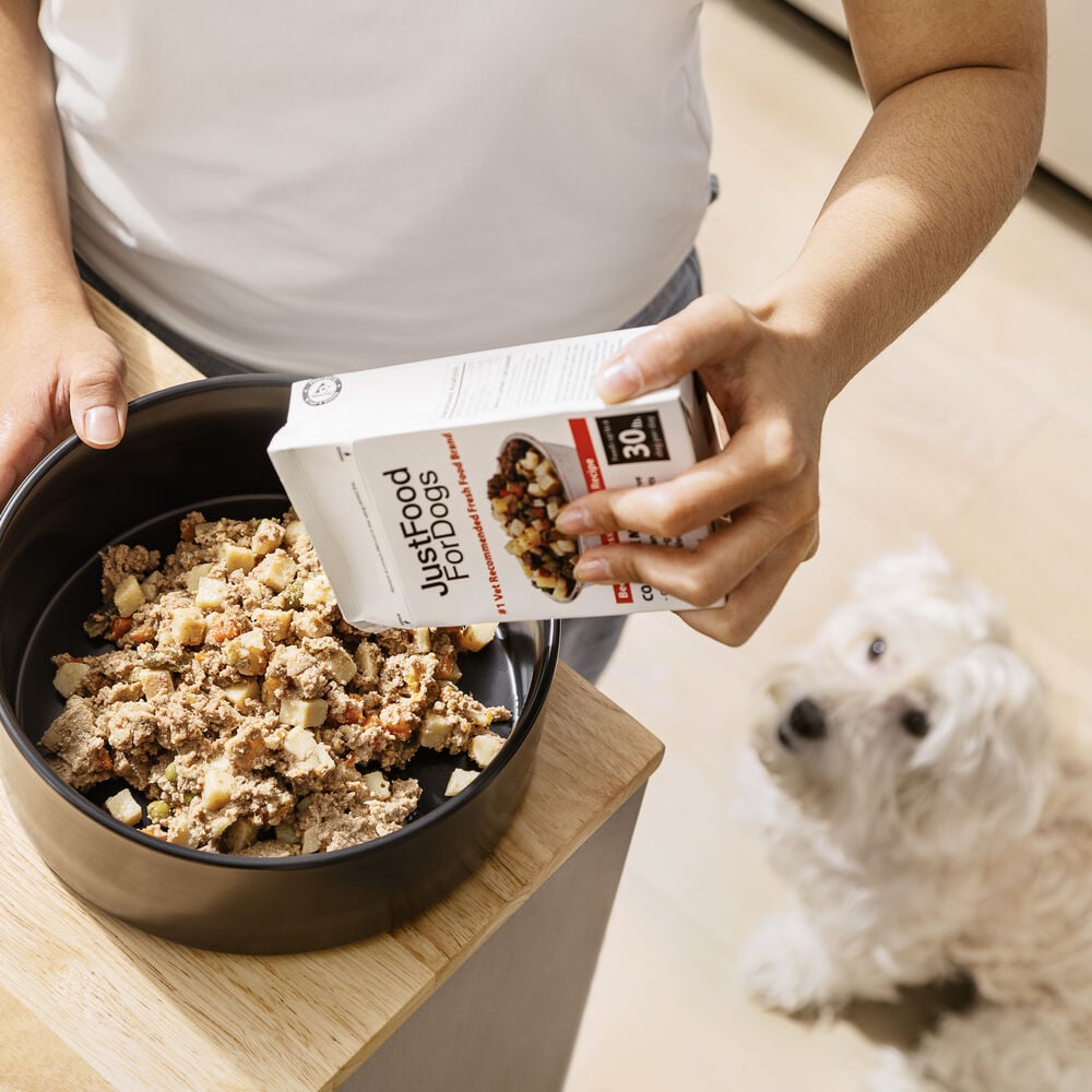 Pantry Fresh - Lamb & Brown Rice 12.5 oz Case (6 Pack)